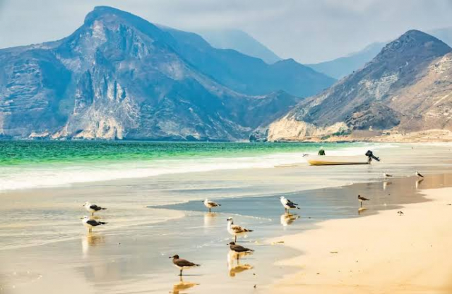 SEJUR ALL INCLUSIVE IN OMAN CU ZBOR DIN BUCURESTI ✈️