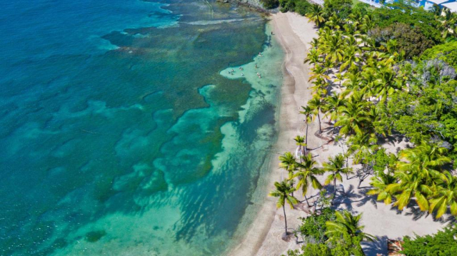 ULTRA LAST MINUTE DOMINICANA 5***** ALL INCLUSIVE SENATOR PUERTO PLATA ZBOR DIRECT DIN OTOPENI CU TAXE INCLUSE