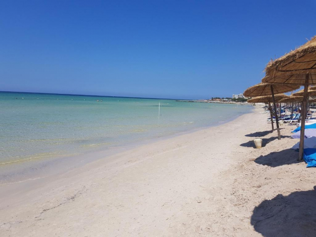 Sejur in Tunisia: 650 euro cazare 7 nopti cu All inclusive+ transport avion+ toate taxele