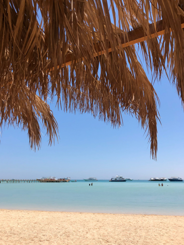 TARIF PROMO!!!Sejur la plaja in Hurghada la doar 749 eur,avion din Bucuresti!!!Sunrise Select Garden Beach