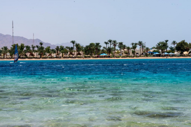 Revelion in Sharm el Sheikh: 775 euro cazare 7 nopti cu  All inclusive+ transport avion+ toate taxele 