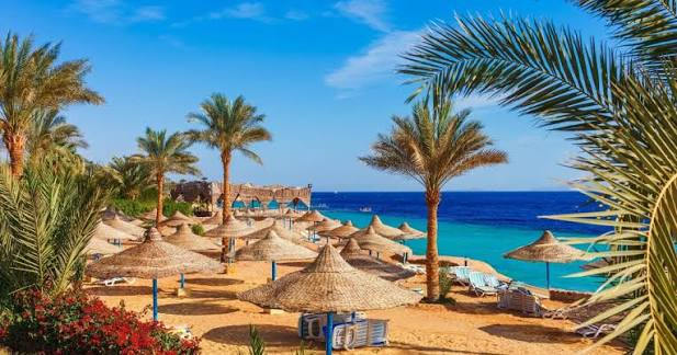 SUPER OFERTA! SHARM EL SHEIKH CU ZBOR DIN BUCURESTI ✈️