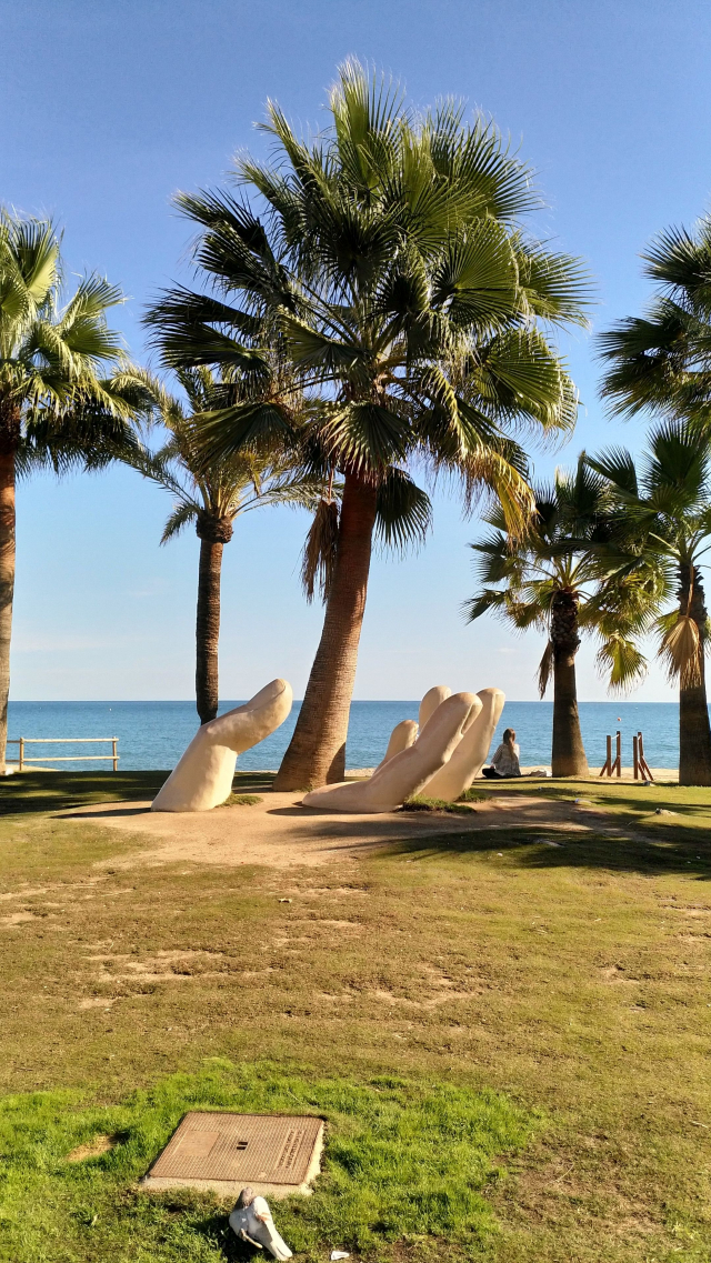 Weekend de toamna in Costa del Sol la doar 250 euro,avion din Cluj!!!LAS PALMERAS 4*