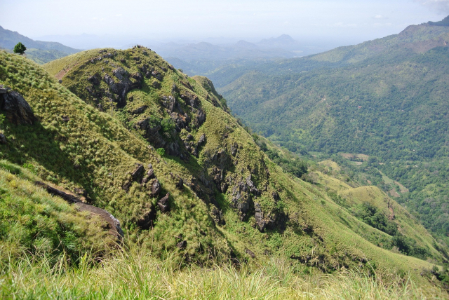 OFERTA  LAST MINUTE SRI LANKA , SEJUR 10 NOPTI, CU PLECARE DIN CLUJ NAPOCA(LP