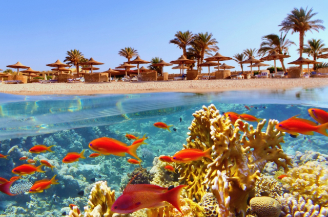 INCEPE NOUL AN IN HURGHADA - OFERTA CU AVION DIN TIMISOARA📍🗺️