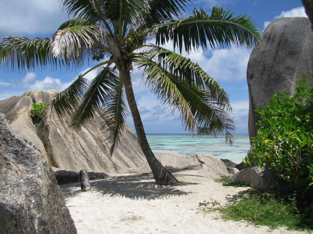 LAST MINUTE SEYCHELLES, SEJUR 7 NOPTI, CU PLECARE DIN BUCURESTI(LP)