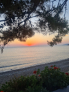 last minute Grecia / Insula Lesbos