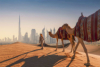 last minute Emiratele Arabe / Dubai