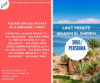 last minute Egipt / Sharm El Sheikh