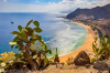 last minute Spania / Tenerife