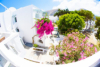 last minute Grecia / Insula Santorini