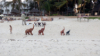 last minute Kenya / Mombasa Bamburi Beach