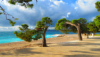 last minute Croatia / Brela