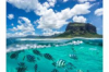 last minute Mauritius / Belle Mare