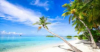 last minute Republica Dominicana / Punta Cana