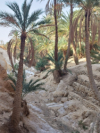 last minute Tunisia / Hammamet
