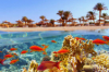 last minute Egipt / Hurghada