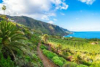 last minute Spania / Tenerife