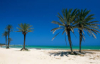 last minute Tunisia / Hammamet
