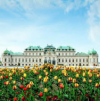 last minute Austria / Viena