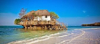 last minute Tanzania / Zanzibar