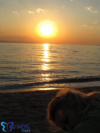 last minute Grecia / Halkidiki Kassandra
