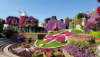 last minute Emiratele Arabe / Dubai