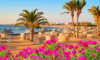 last minute Egipt / Hurghada