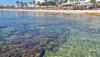 last minute Tunisia / Hammamet
