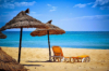 last minute Tunisia / Hammamet