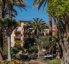 last minute Spania / Tenerife