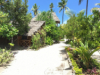 last minute Tanzania / Zanzibar