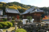 last minute Japonia / Kyoto