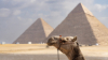 last minute Egipt / Hurghada