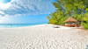 last minute Tanzania / Zanzibar