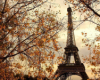 last minute Franta / Paris