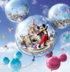 last minute Franta / Paris Disneyland