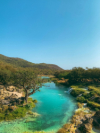 last minute Oman / Salalah
