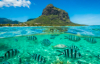 last minute Mauritius / Belle Mare