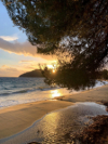 last minute Grecia / Insula Skiathos