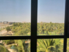 last minute Oman / Salalah