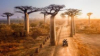 last minute Africa / Madagascar