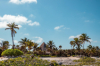last minute Mexic / Akumal