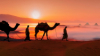 last minute Egipt / Hurghada