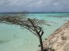 last minute Aruba / Eagle Beach