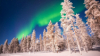 last minute Finlanda / Rovaniemi