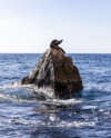 last minute Mexic / Cabo San Lucas