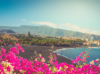 last minute Spania / Tenerife