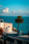 last minute Tunisia / Hammamet