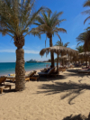 last minute Egipt / Marsa Alam